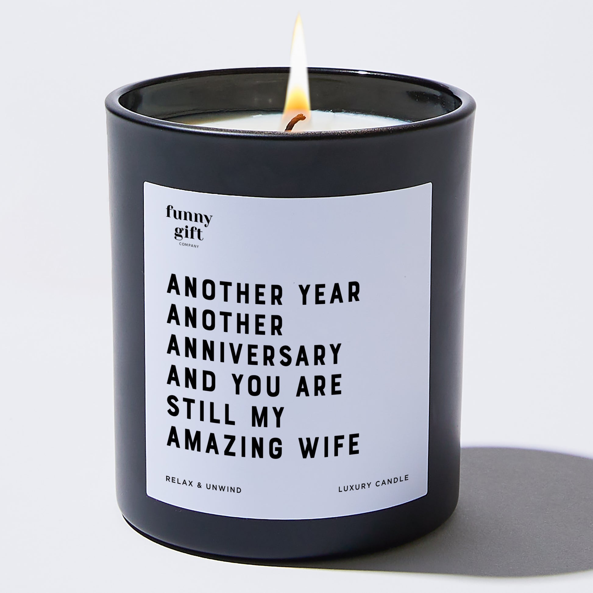 Anniversary Gift Another Year, Another Anniversary, and You Are Still My Amazing Wife - Funny Gift Company