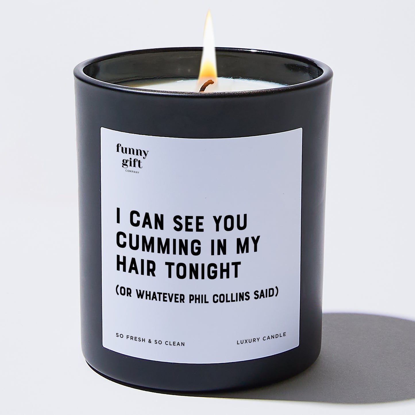 Anniversary Present - I Can See You Cumming in My Hair Tonight (or Whatever Phil Collins Said) - Candle